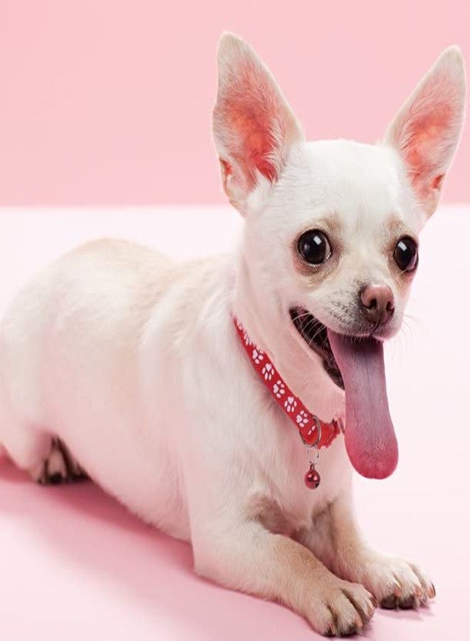 Pups&Pets Footprint Cat Collar with Bell Basic Dog Cat Collar Buckle Adjustable Polyester Cat Dog Collar Quick Release and Breathable Collar 10 MM (Red Color) - Image 2